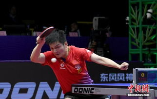 樊振东确认出战2025乒超联赛！留洋德国后他如何兼顾双线作战？