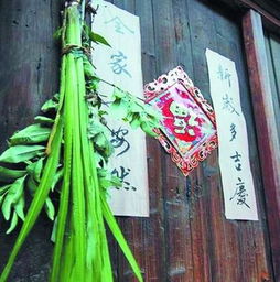 图片内容：端午节传统草药与瓶子组合图