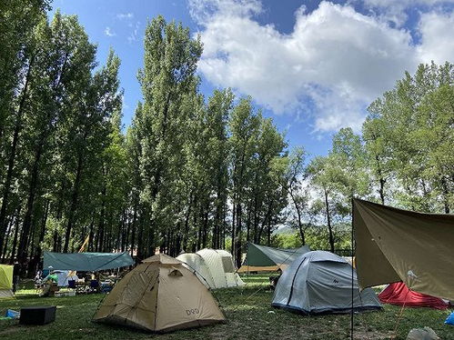 城市近郊露营地热闹非凡