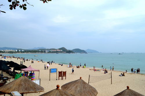 三亚女游客被蛇咬伤不幸身亡，真相到底是什么蛇？