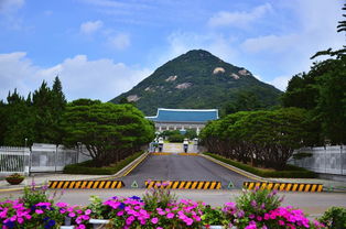 李在明强势回归，青瓦台迁址风波再起！韩国政坛风云变幻