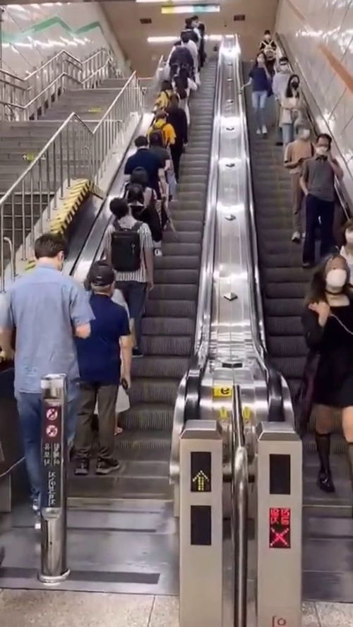 正确乘坐自动扶梯的示意图