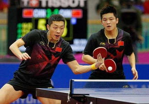 樊振东与队友在球场上交流战术