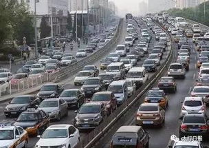 2025年端午节假期盘点：出行6.87亿人次，龙舟赛安全成焦点