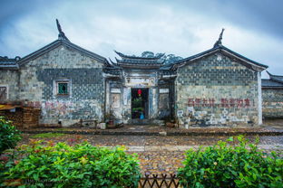 十八年后再相约：一个乡村的蜕变与我的情感归宿