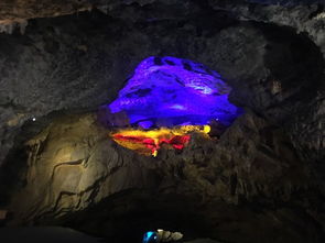 工作人员在溶洞入口处进行垃圾清理工作的现场照片