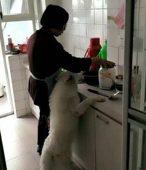 奶奶在厨房做饭