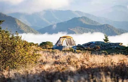 野外旅行与户外探险安全提示海报