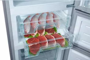 冷冻鸡肉整齐排列