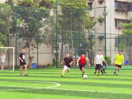 人群聚集在体育场外庆祝板球比赛胜利