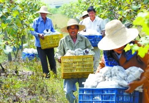 带着心跳的中国式现代化：一个普通人眼中的时代脉搏