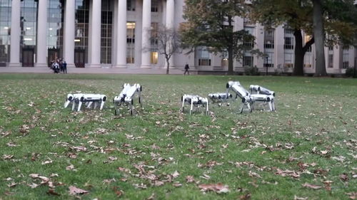 一群青少年在草地上踢球