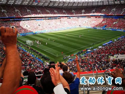 球迷在球场观看比赛