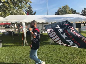 球迷挥舞旗帜为球队助威