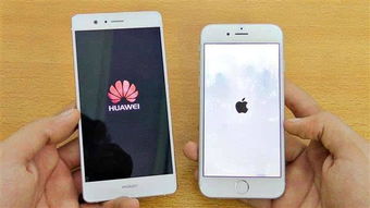 小米与苹果华为对比图