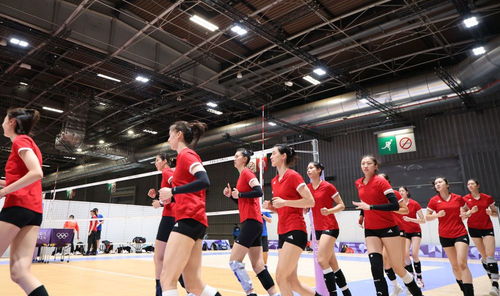 中国女排今晚首秀迎战比利时！新周期新阵容期待开门红