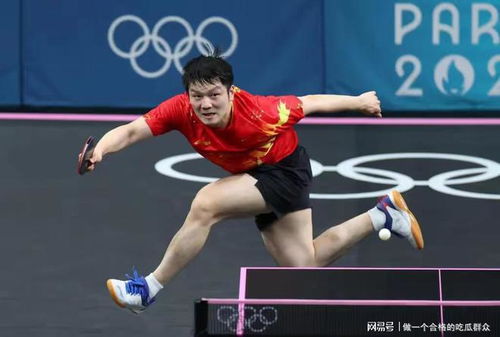 樊振东加盟德甲引热议，球队经理回应待遇问题！背后真相令人意外