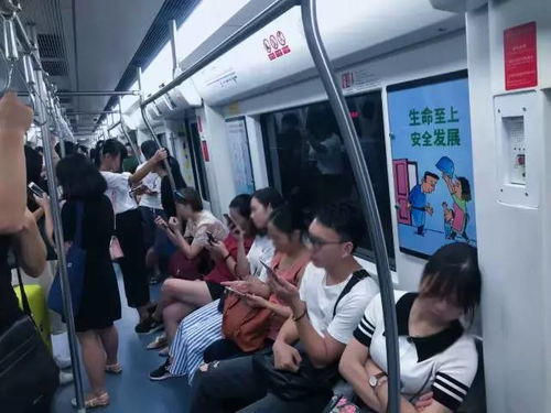 稚奴在地铁站打盹