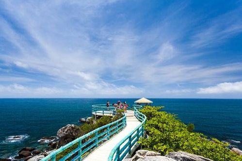 男友哽咽还原女友三亚被咬身亡全过程：一场噩梦般的旅行