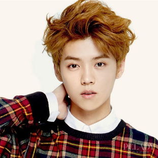 鹿晗染发前漂过的头发状态