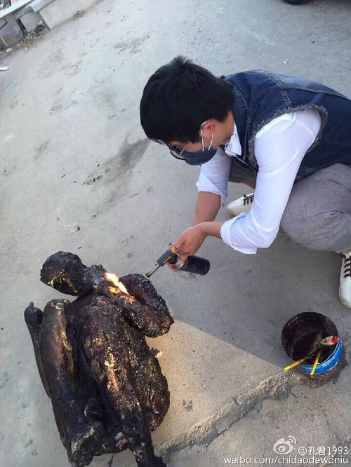 法医正在分析尸体样本