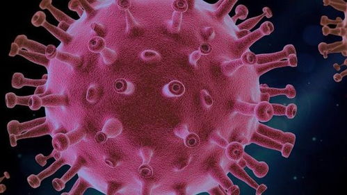 新冠疫情再上热搜，中疾控发声：已处于今年阶段性高位！