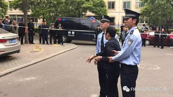 一家三口被害 凶手被鉴定为精神分裂？真相令人震惊！