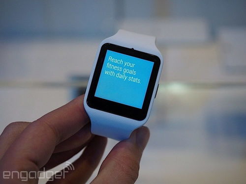 SmartBand与手机同步数据界面