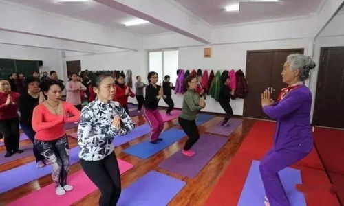 瑜伽学员在教室中练习体式