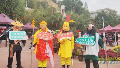 小西天景区游客排队进入