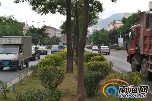 三亚街头绿化带附近游客散步