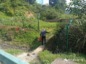 老人被五步蛇咬伤，奇迹般打16支血清脱险！真实经历令人后怕