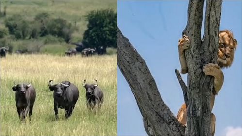 母亲手持向日葵在考场外等待