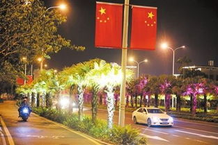 三亚游客被蛇咬伤身亡，真相背后你必须知道的细节