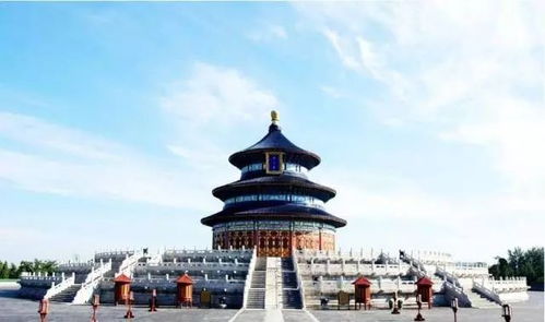 抖音爆火！网友天坛偶遇文班亚马，引发热议背后的故事