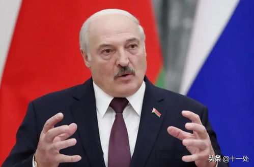 卢卡申科访华归来：用“不能再好了”总结这次历史性访问