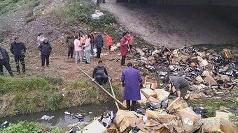 村民怒斥：这不是放生，是害人！温州东阳村有人山上放五步蛇，已有村民被咬送医