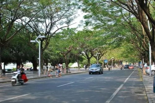 三亚女游客疑被蛇咬身亡事件：家属质疑医院延误救治，卫健委介入调查