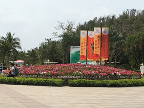 27岁女子三亚被蛇咬身亡！医生称银环蛇可能性高达90%，医院却无血清？