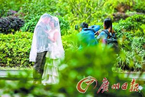 春风拂面下的小路