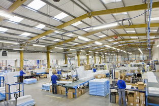 白象的份量，连曹冲都称不准了？网友热议背后的真相竟让人意外