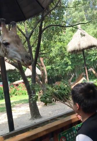 全红婵在山间开心大笑