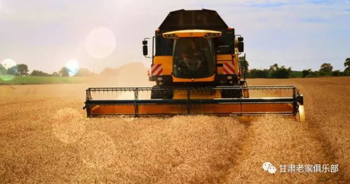 一位农民在晨光中操作收割机