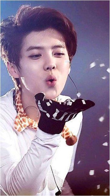 鹿晗与粉丝互动现场照片