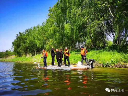 整治后的乡村河流美景