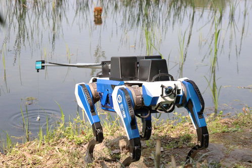 机器狗在河道中进行水质检测