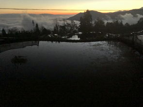 散文‖意识的迷宫：我如何在写作中与潜意识对话