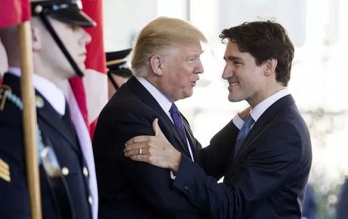 默茨与特朗普握手