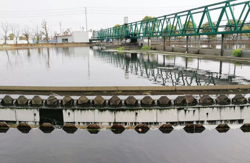 我家门前有条河｜一条河，一段童年，一种乡愁