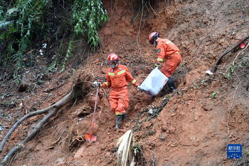 搜救人员在海边搜寻现场